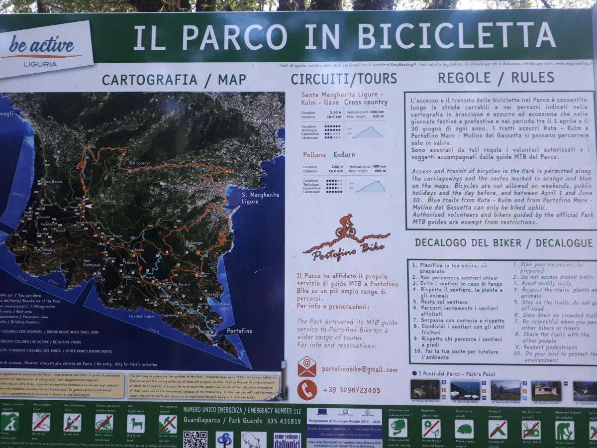Casaviva - Bilo With Seaview And Parking In Camogli Apartment ภายนอก รูปภาพ