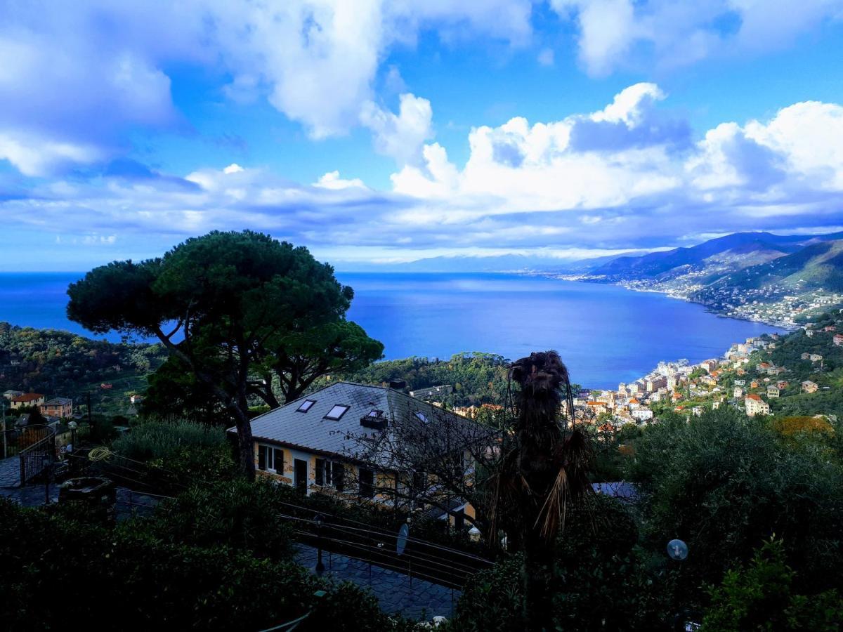 Casaviva - Bilo With Seaview And Parking In Camogli Apartment ภายนอก รูปภาพ